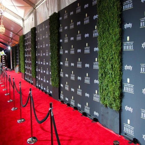 a-red-carpet-with-black-stanchions-black-rope-barriers-and-a-branded-step-and-repeat-backdrop-with-green-hedge-panels
