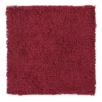 Modern Wide Expo carpet